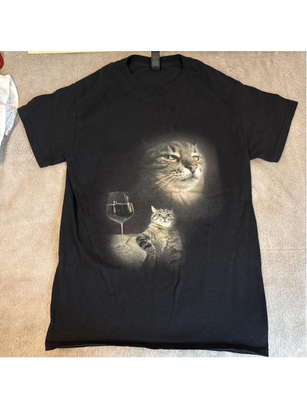Cat Shirt Hilarious Adult Small Crazy Cat Lady